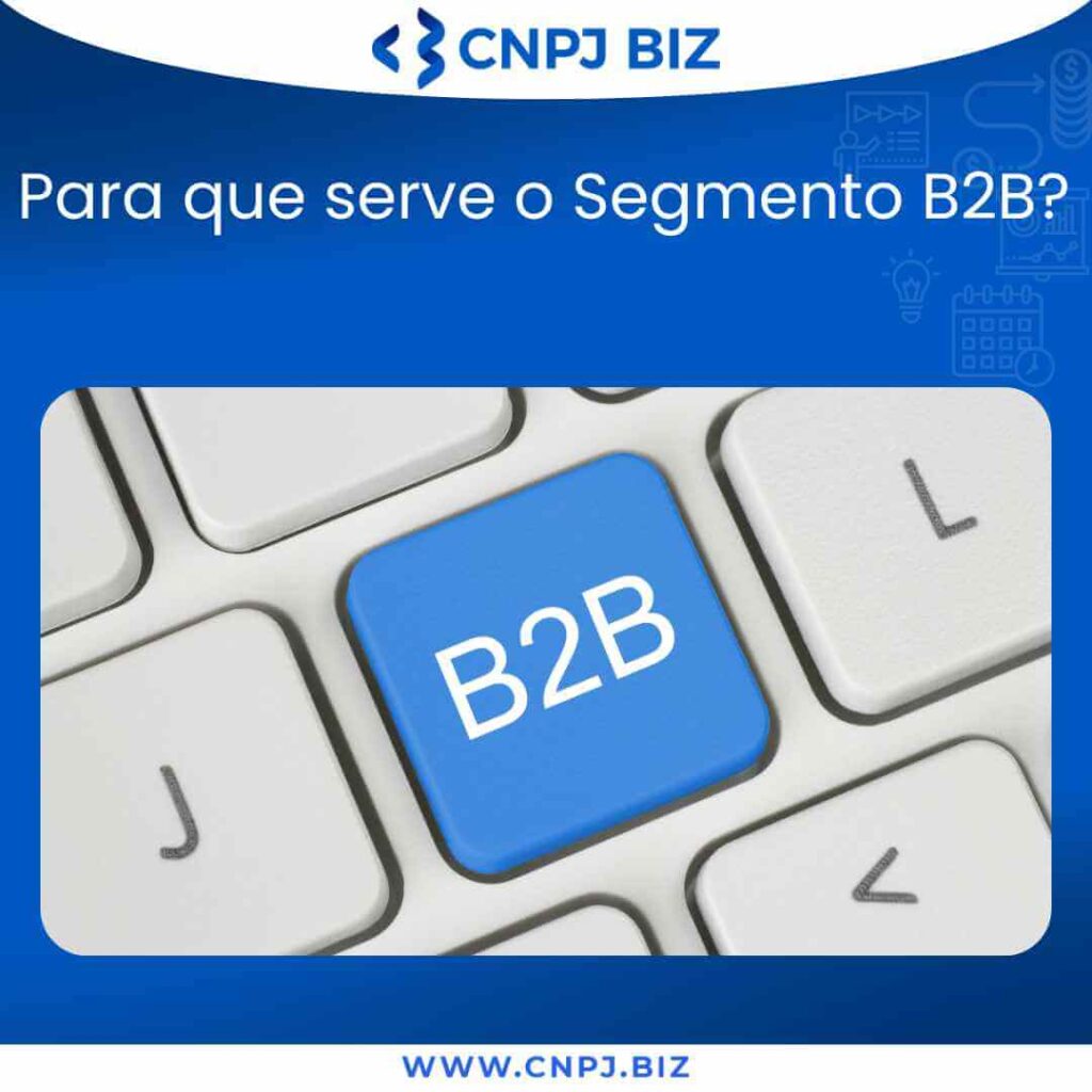Para que serve o Segmento B2B